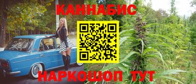СК Кандалакша