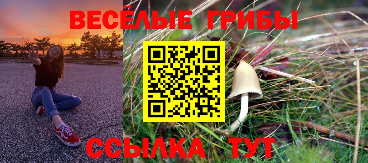 Липецк  Псилоцибиновые грибы Psilocybine cubensis  Вход с VPN 