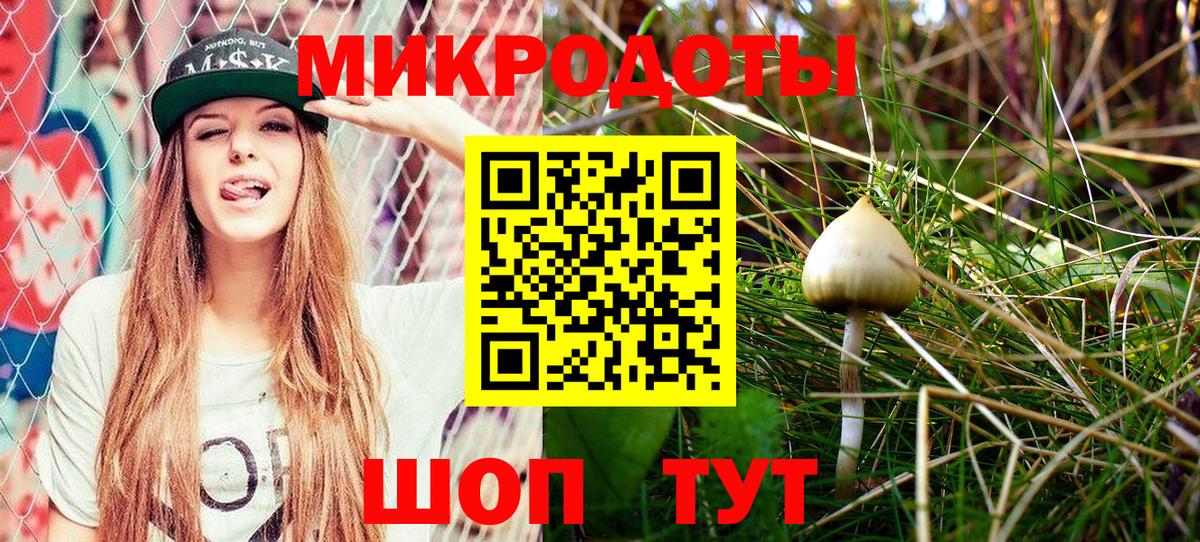Псилоцибиновые грибы GOLDEN TEACHER Липецк